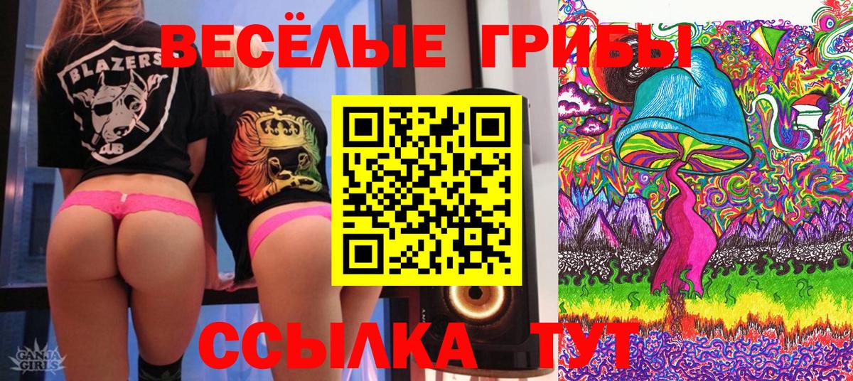 Железноводск  Галлюциногенные грибы прущие грибы  Вход с VPN 